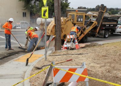 Traffic Signal & Street Light Project