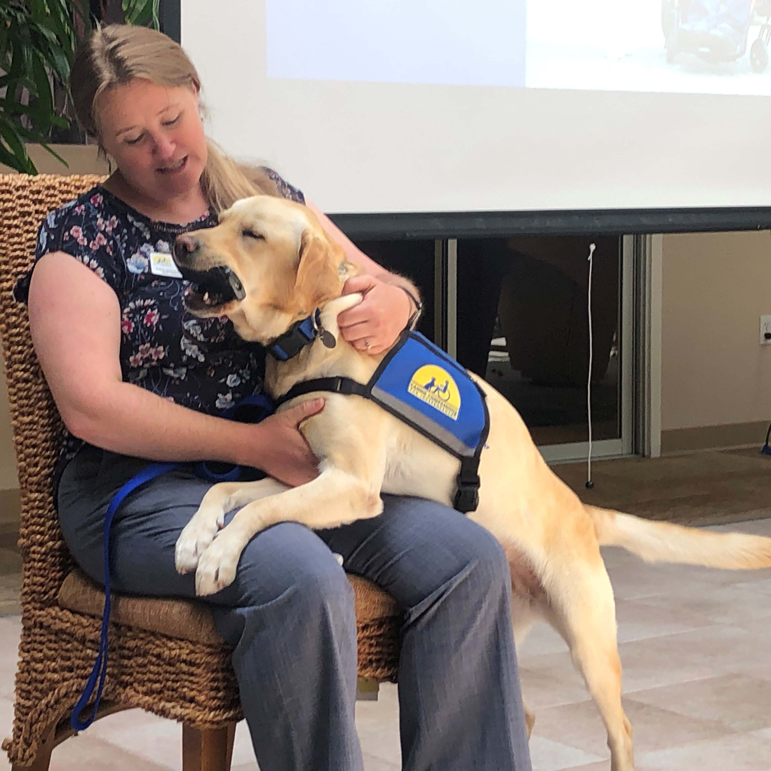 Canine Companions Organization Canine Companions Organization